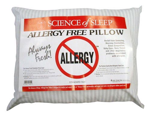 Allergy-Free Pillow Standard 15.5 x 23 product image