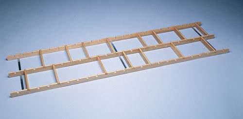 Foot Placement Ladder product image