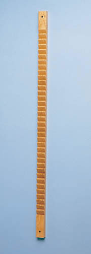 Shoulder / Finger Exercise Ladder product image