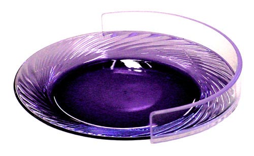 Plate Guard  Clear Large product image