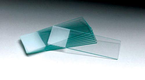 Microscope Slides- Plain Pk/72 product image
