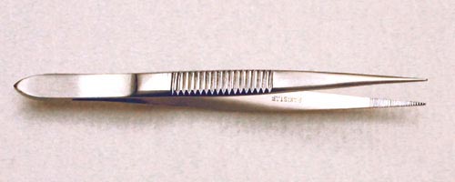 Splinter Forceps 4 1/2  Serrated product image