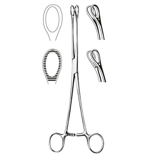 Foerster Sponge Forcep- 7  Serrated product image